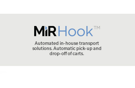 Mir-Hook02
